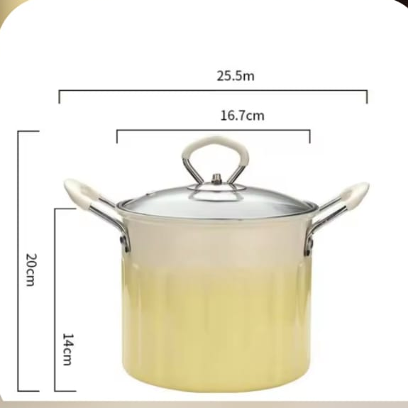 3L Deep Frying Pot
